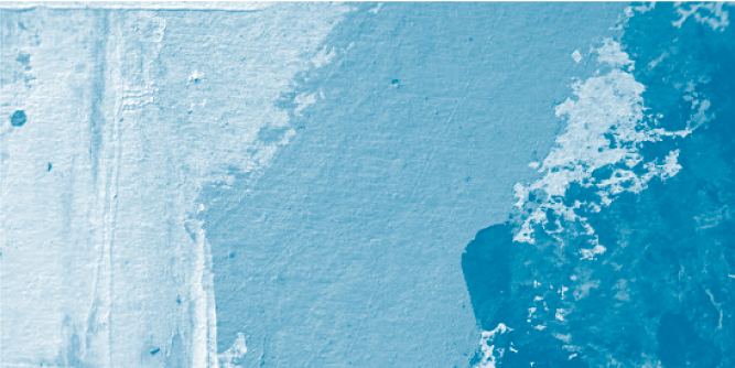 widget image